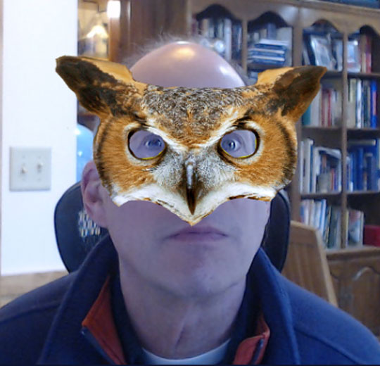 A two-dimensional owl mask